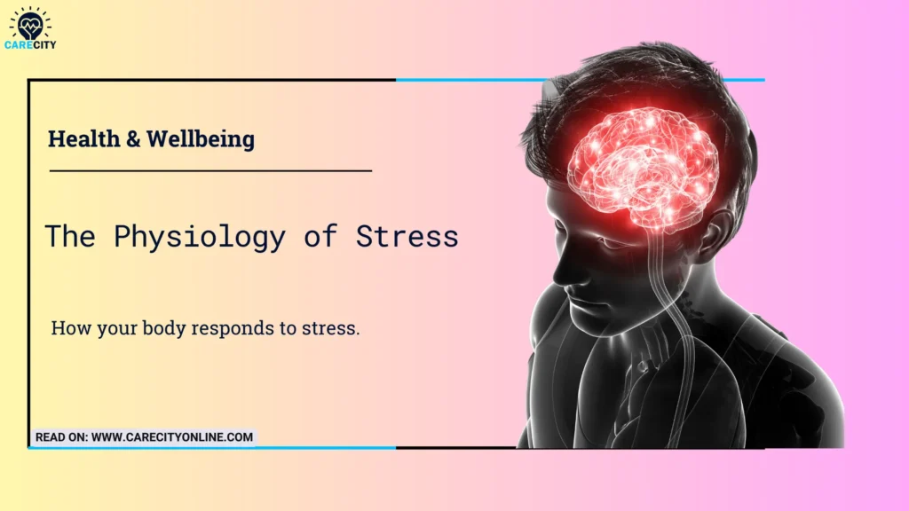 The Simple Physiology Behind Stress